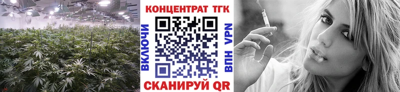кракен tor  Аксай  ТГК Wax 